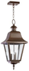 7031-3-86 Exterior -Hanging - 340904 - Capital Lighting, Inc.