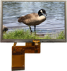 All Shore Industries, Inc. > Liquid Crystal Displays | - ASI-T-430FA2AT/AH - All Shore Industries