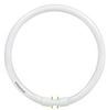 Circline Fluorescent Lamp -- FPC22/830/20702 - Image