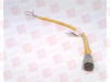 QD Cable/Cord Set - 4244255 - Radwell International