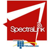 SpectraLink NetLink On-site Additional Wireless Telephone.. - INS615 - TelephoneStuff.com