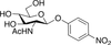 p-Nitrophenyl 2-Acetamido-2-deoxy-β-D-glucopyranoside.. - 29340 - Medical Isotopes, Inc.