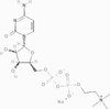 Citicoline Sodium Salt - 16949 - Medical Isotopes, Inc.