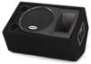 PA Monitor Speaker - RS12M - Visual Sound, Inc.