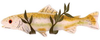 77707 Sconces-Pocket - 407837 - Capital Lighting, Inc.