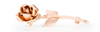AURUNA® 503 Rose Gold Electrolyte - AURUNA® 503 Rose Gold Electrolyte - Umicore Metal Deposition Solutions