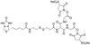 5-[2-Biotinylamidoethyl]-dithiopropionamido]-3,7-diaza-4,6.. - B392690 - Toronto Research Chemicals, Inc.