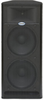 Active PA Cabinet with 2 x 15