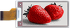 Display Modules - LCD, OLED, Graphic - E2266FS092-ND - DigiKey
