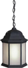 17011-01-04 Exterior -Hanging - 315298 - Capital Lighting, Inc.