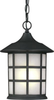Exterior -Hanging - 24634 - Light Center (The)