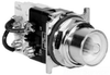 Indicating Light -- 10250T221NF - Image
