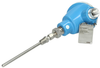 Temperature sensor Endress+Hauser TH11-F2CGBX1AK1
