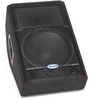 Wedge Monitor -- RS15M HD
