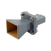 RF Antennas - PEWAN090-10ELSF - Quarktwin Technology Ltd.