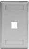 Datacommunication Face Plate - IFP11GY - Hubbell Incorporated