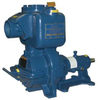 13A22-B Self Priming Pump - Image