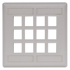 Datacommunication Face Plate -- IFP212OW - Image