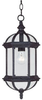 Exterior -Hanging - 233573 - Light Center (The)