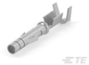 Connector Contacts - 350665-1 - TE Connectivity