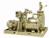 Water Sealed Vacuum Systems for Power Generation Applications -- DVW1200D