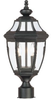Exterior -Post/Pier Head - 63828 - Light Center (The)