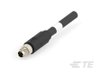 Ethernet Cable - 2436358 - RS Components, Ltd.
