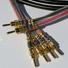 HAVEFlex 11Ga Biwire Speaker Cable B-B 75 - 20SP4S11-BWBB-075 - HAVE, Inc.