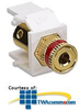 Leviton Acenti QuickPort Snap-In Connectors, Binding Post - AC833-B - TelephoneStuff.com