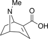 Anhydro Ecgonine - A638800 - Toronto Research Chemicals, Inc.