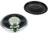 Speakers -- PSR40N08AK