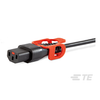 Power, Line Cables and Extension Cords - 817-IL13P-SE-H05-3100-300-O-ND - DigiKey