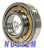 NU312M Cylindrical Roller Bearing 60x130x31 - Kit8701 - NationSkander California Corporation