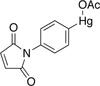 N-[p-(Acetylmercuric)phenyl]maleimide - A186280 - Toronto Research Chemicals, Inc.