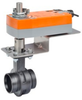 Butterfly Valve -- F665VIC+AFBUP-S-X1 - Image