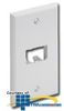 Panduit® Mini-Com Classic Series Faceplate accepts 2.. - CFP2 - TelephoneStuff.com