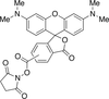 2-((5(6)-Tetramethyl-rhodamine)carboxylic Acid N-Hydroxysu.. - 31292 - Medical Isotopes, Inc.