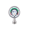 Flush pressure sensor with display -- PG1703 - Image