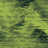 Olive Green Waterglass Glass - 528-4W - Spectrum Glass Company, Inc.