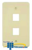 Allen Tel Two Port Faceplate - AT30-2 - TelephoneStuff.com