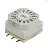 DIP Switches - 2449-RD10AA16RGRTR-ND - DigiKey