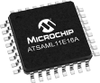 Microcontrollers - 1906878 - RS Components, Ltd.