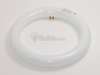 22 Watt, 8" Diameter Soft White T9 Circline Bulb -- 392225 - Image