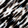 Crystal Clear/Ivory/Black, 