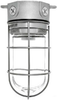 Vaporproof Incandescent Fixture with Globe and Guard - VX100GB - RAB Lighting