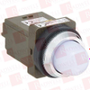 Pilot Light - 6875609 - Radwell International