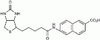 N-Biotinyl-6-amino-2-naphthoic Acid - 4849 - Medical Isotopes, Inc.