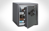 Electronic FIRE-SAFE&reg; - SF123ES - Sentry Group