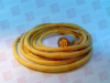 QD Cable/Cord Set - 3598414 - Radwell International
