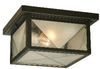 81625 Flush Mounts-Other - 601088 - Capital Lighting, Inc.